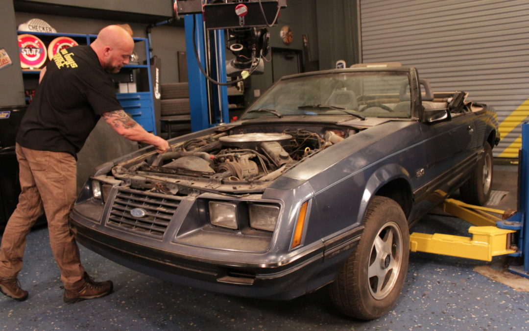 47. Mustang Resurrection