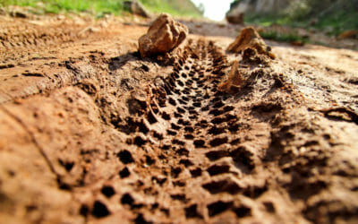 187. Two Wheelin’ on Dirt
